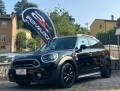 usato MINI Countryman