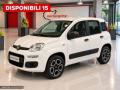 usato FIAT Panda