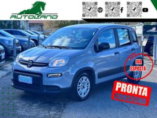 usato FIAT Panda