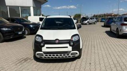 usato FIAT Panda