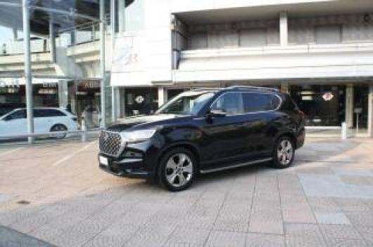usato SSANGYONG REXTON