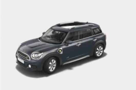 usato MINI Countryman