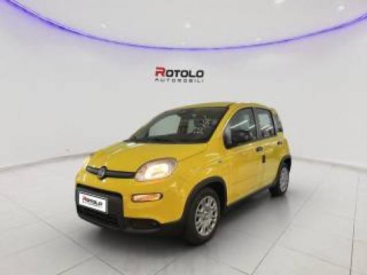 usato FIAT Panda