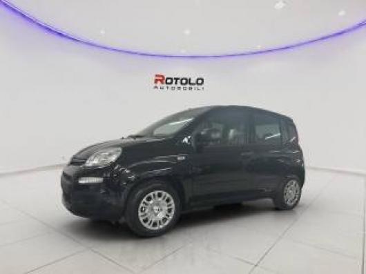 usato FIAT Panda