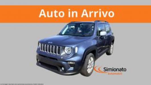 usato JEEP Renegade