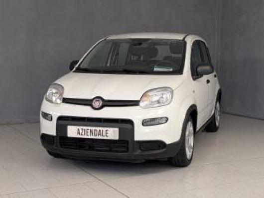 usato FIAT Panda