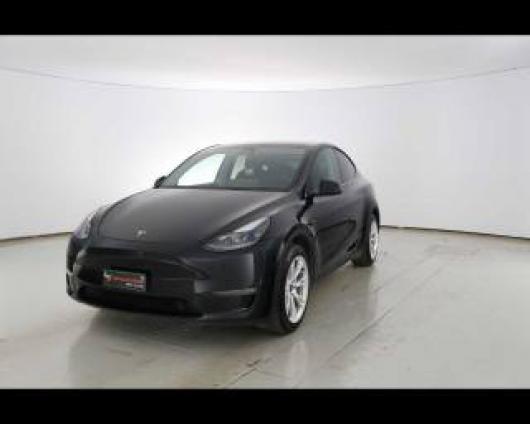 usato TESLA Model Y
