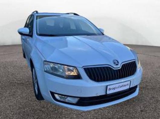 usato SKODA Octavia