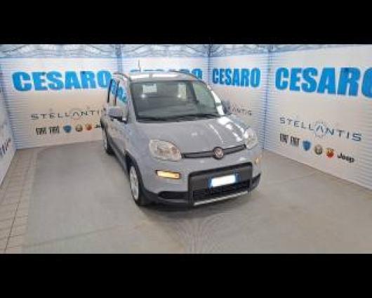 usato FIAT New Panda