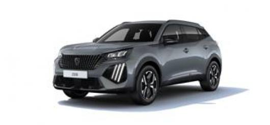 usato PEUGEOT 2008