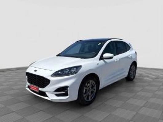 usato FORD Kuga