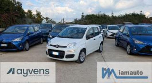 usato FIAT Panda