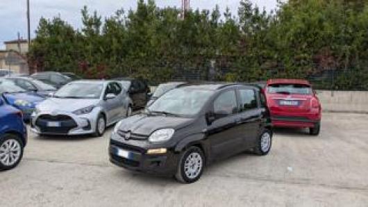 usato FIAT Panda