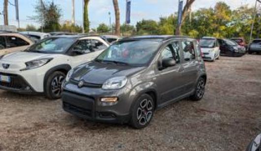 usato FIAT Panda