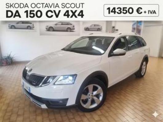 usato SKODA Octavia