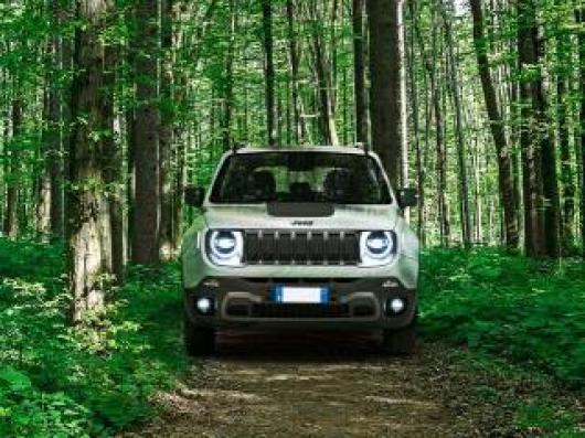usato JEEP Renegade