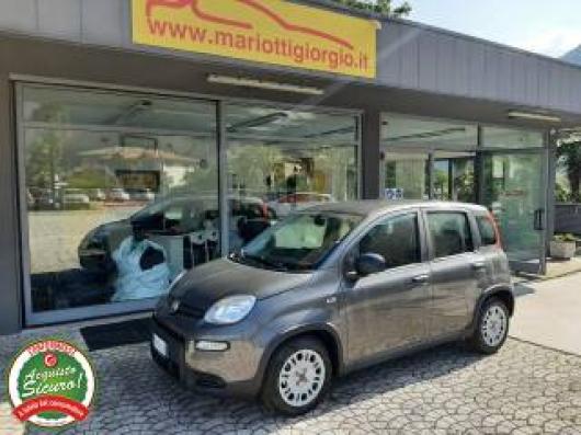 usato FIAT Panda