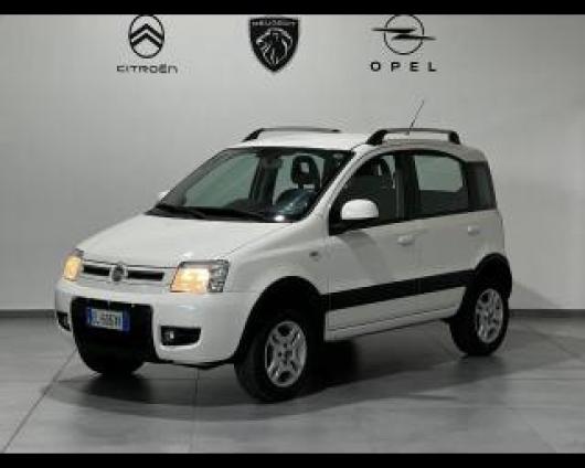 usato FIAT Panda