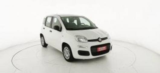 usato FIAT Panda