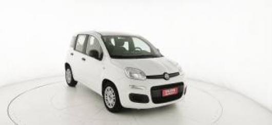 usato FIAT Panda
