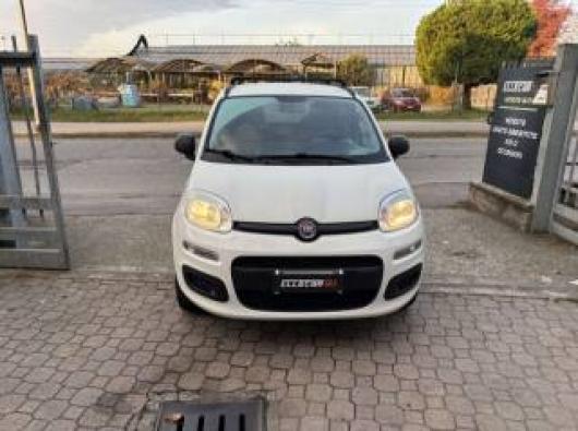 usato FIAT New Panda