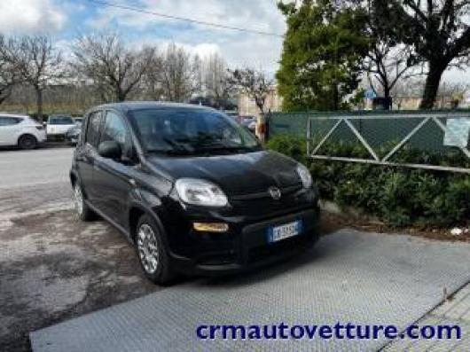 usato FIAT Panda