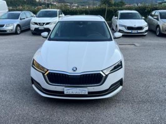 usato SKODA Octavia