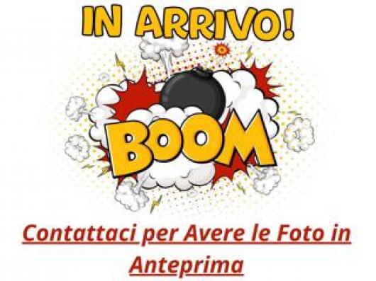 usato SEAT Arona