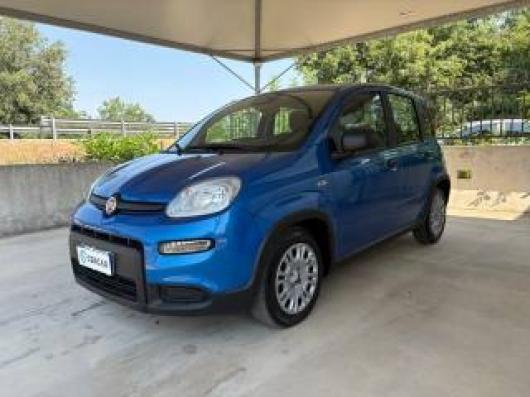 usato FIAT Pandina
