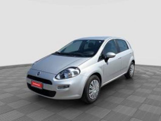 usato FIAT Punto