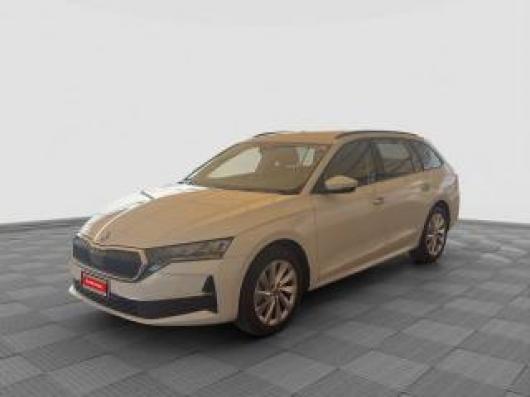 usato SKODA Octavia