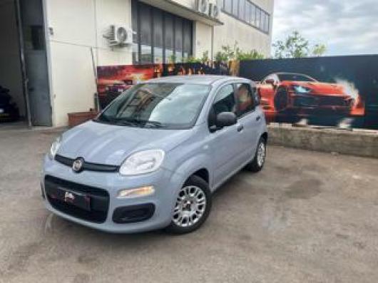 usato FIAT Panda