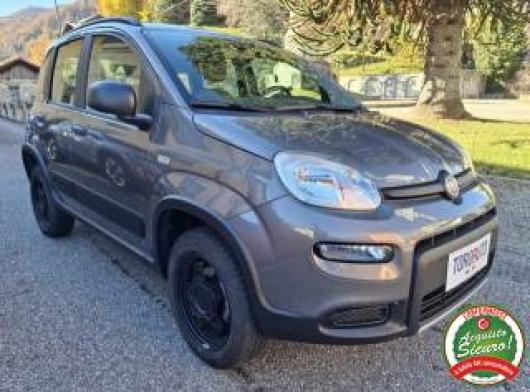 usato FIAT Panda