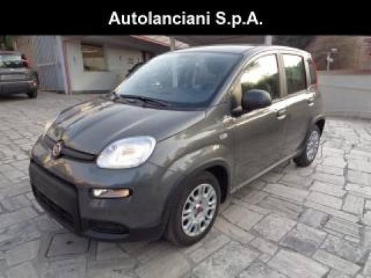 usato FIAT New Panda