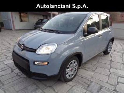 usato FIAT New Panda