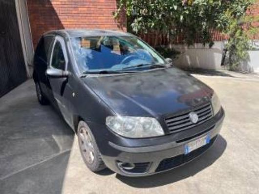 usato FIAT Punto