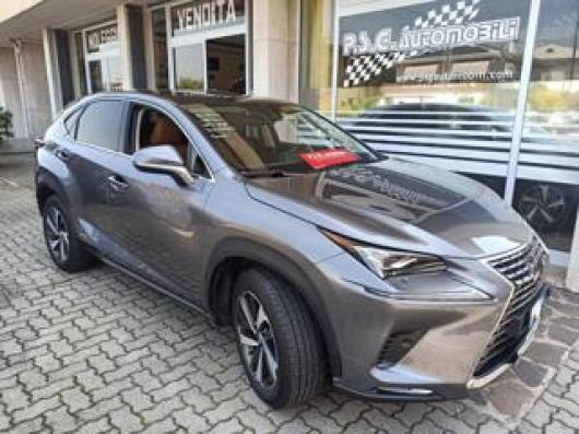 usato LEXUS NX 300