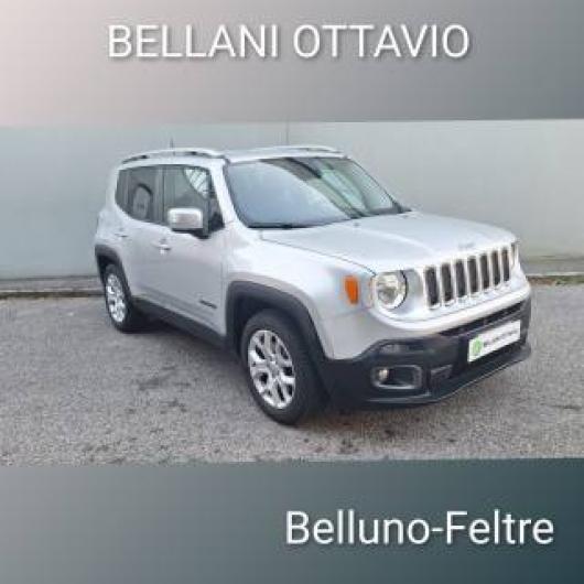 usato JEEP Renegade