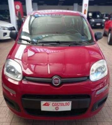 usato FIAT Panda