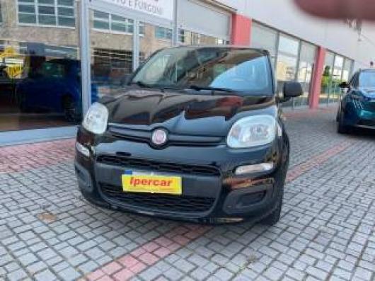 usato FIAT Panda