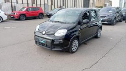usato FIAT Panda