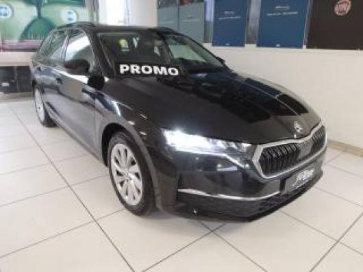 usato SKODA Octavia