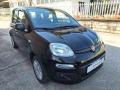 usato FIAT Panda