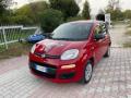 usato FIAT Panda