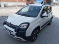 usato FIAT Panda Cross