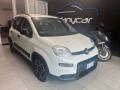usato FIAT Panda