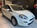 usato FIAT Punto