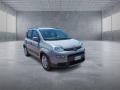 usato FIAT Panda