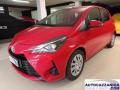 usato TOYOTA Yaris
