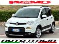 usato FIAT Panda